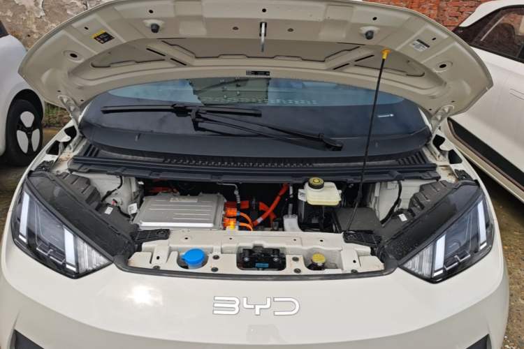 Used BYD Seagull 2025 Model Smart Drive Version 405km Free-Spirited Version Engine Bay