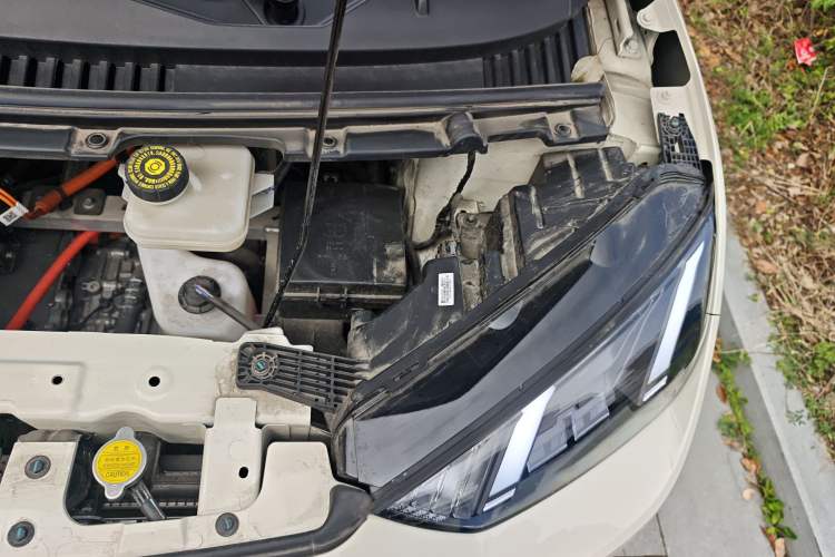 Used BYD Seagull 2025 Intelligent Driving Version 405 km Flying Edition Engine Bay Left