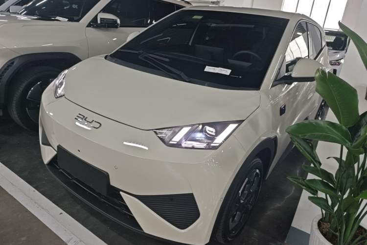 Used BYD Seagull 2025 Smart Drive Version 305 km Freedom Edition Guazi used car, China used car export, Used car for sale, Used  cars, Cheapest cars for sale