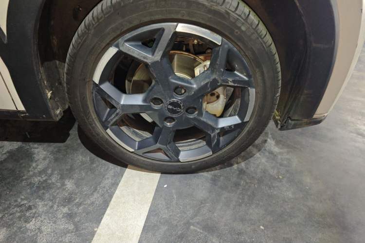 Used BYD Seagull 2025 405 km Flying Edition Exterior 1