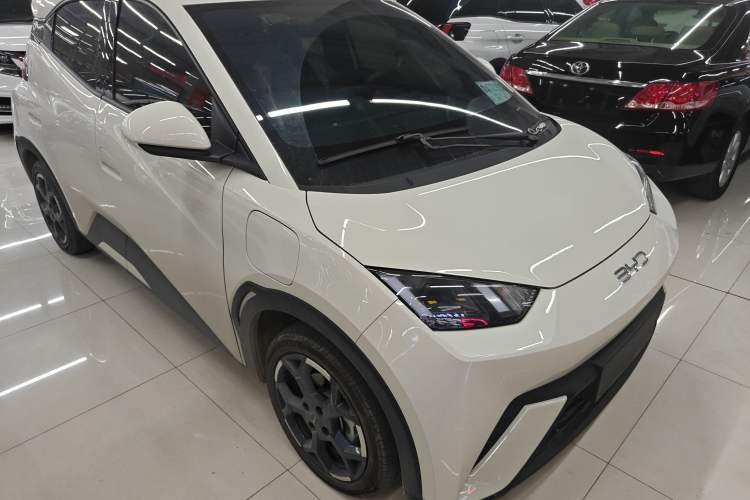 Used BYD Seagull 2025 305 km Free Version Exterior 1