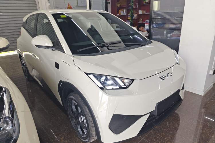 Used BYD Seagull 2025 Smart Drive Version 305 km Freedom Edition Exterior 1