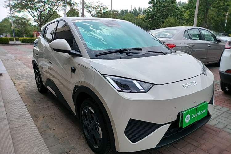 Used BYD Seagull 2025 Smart Drive Version 305 km Freedom Edition Exterior 1