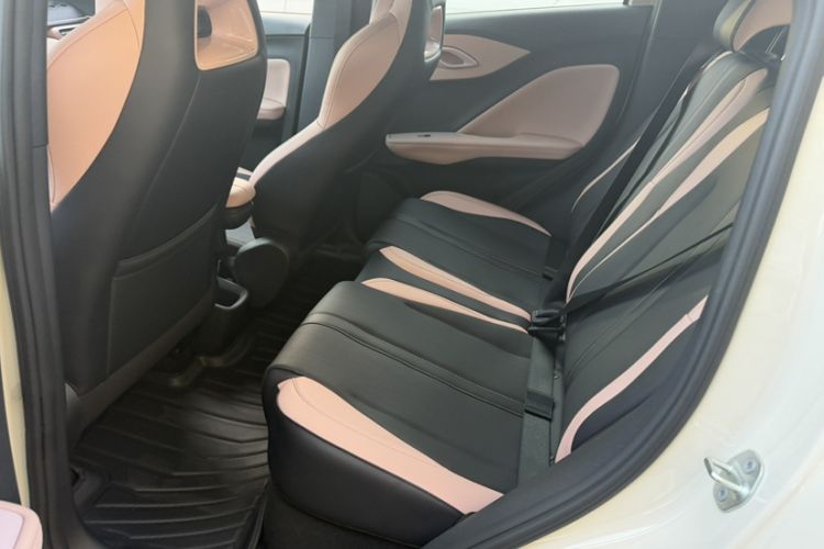 Used BYD Seagull 2025 Intelligent Driving Version 305 km Dynamic Edition Exterior 10