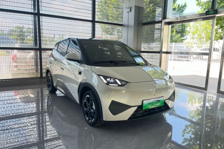 Used BYD Seagull 2025 Smart Drive Version 305 km Freedom Edition Exterior 2