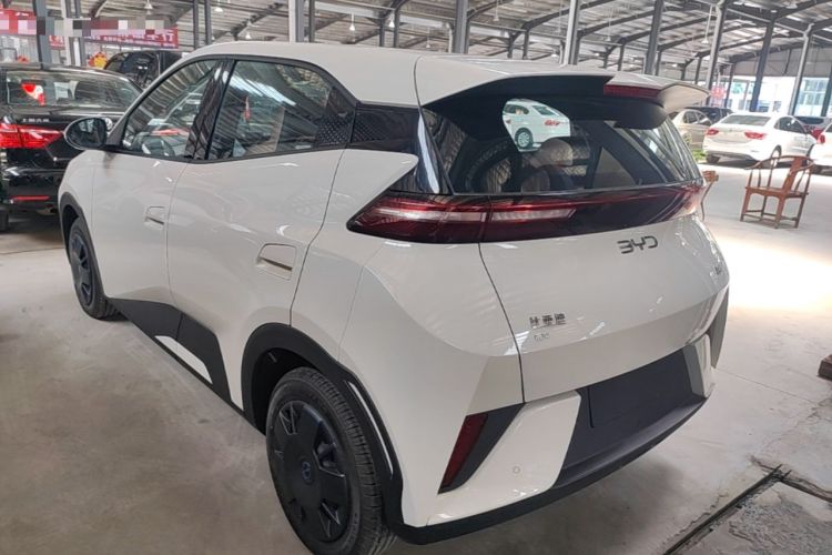 Used BYD Seagull 2025 Intelligent Driving Version 305 km Dynamic Edition Exterior 2