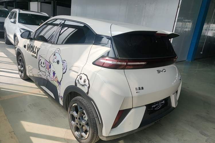 Used BYD Seagull 2025 Smart Drive Version 305 km Freedom Edition Exterior 2