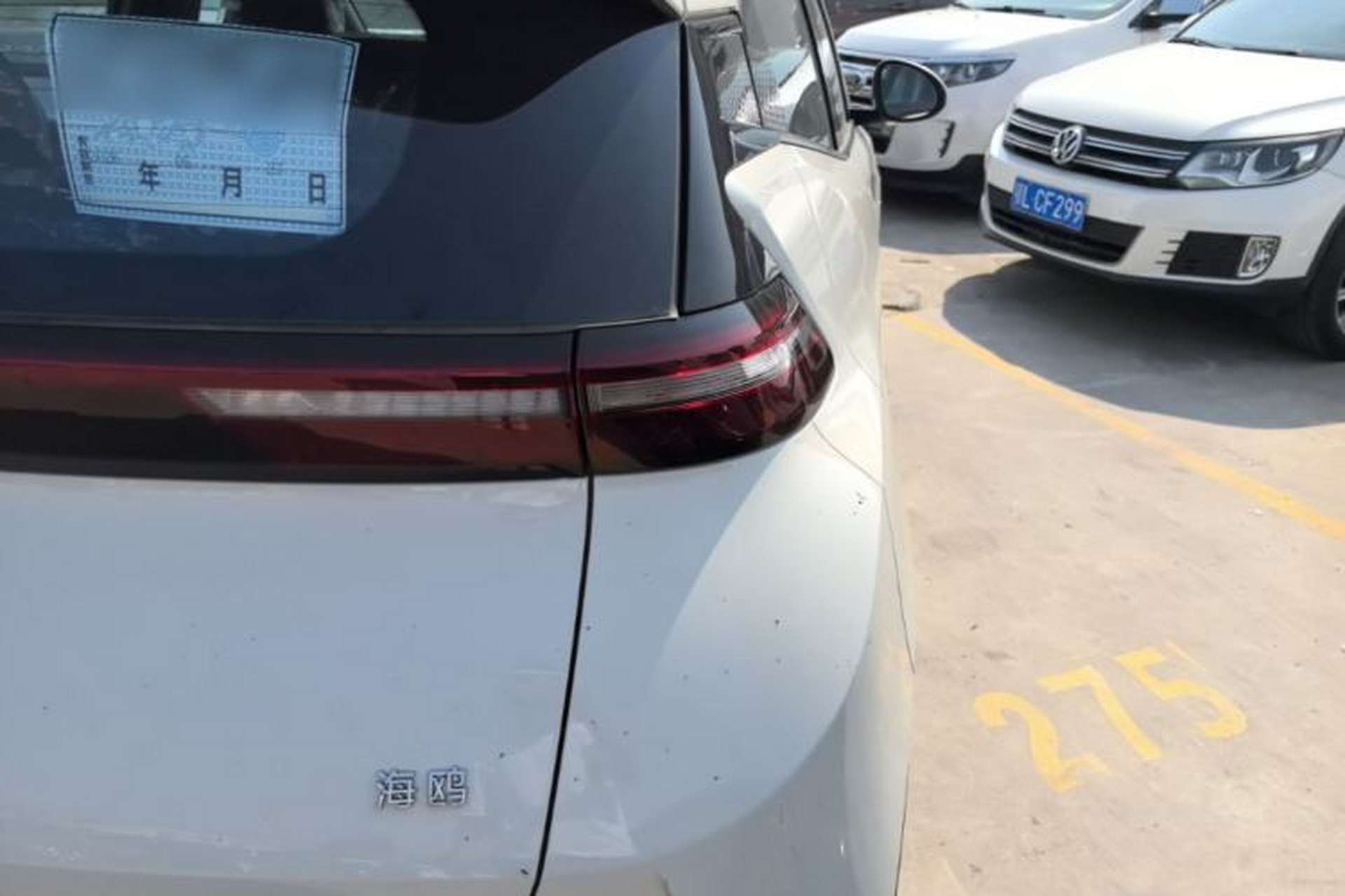 Used BYD Seagull 2025 Intelligent Driving Version 305 km Dynamic Edition Exterior 3