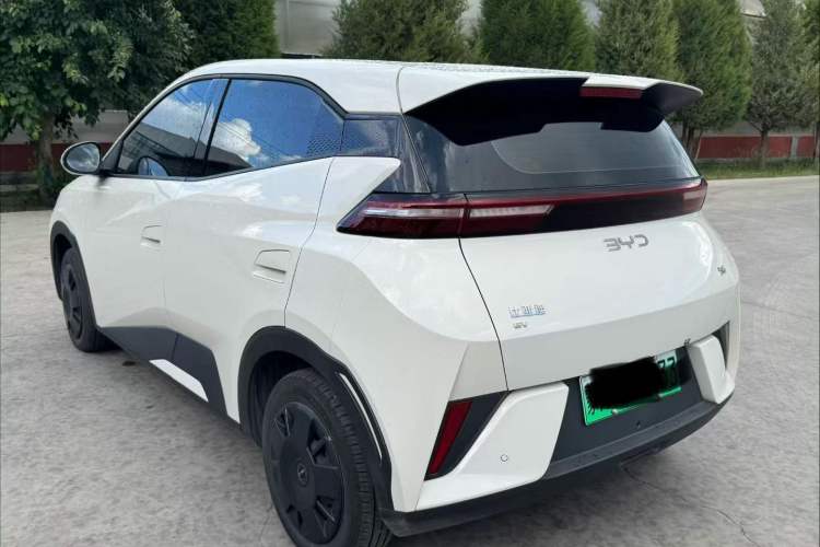 Used BYD Seagull 2025 Intelligent Driving Version 305 km Dynamic Edition Exterior 3
