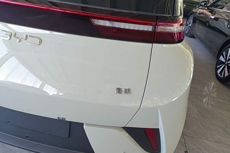 Used BYD Seagull 2025 Intelligent Driving Version 305 km Dynamic Edition Exterior 3