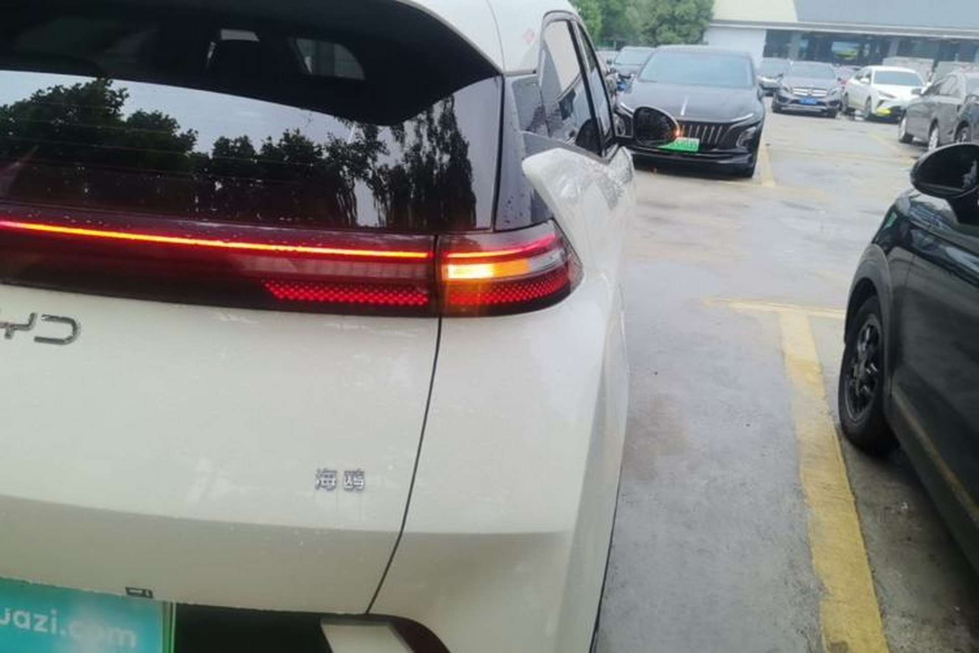 Used BYD Seagull 2025 305km Active Version Exterior 3