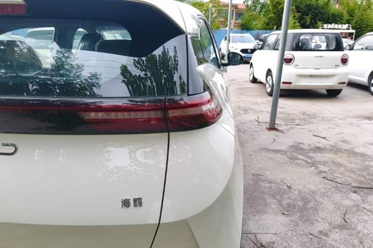 Used BYD Seagull 2025 Intelligent Driving Version 305 km Dynamic Edition Exterior 3