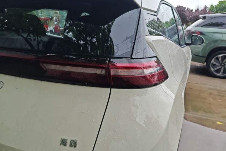Used BYD Seagull 2025 Intelligent Driving Version 305 km Dynamic Edition Exterior 3