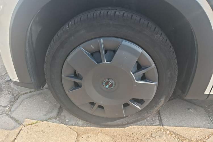 Used BYD Seagull 2025 305km Active Version Exterior 4
