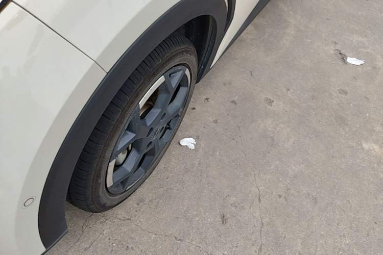 Used BYD Seagull 2025 Smart Drive Version 305 km Freedom Edition Exterior 4