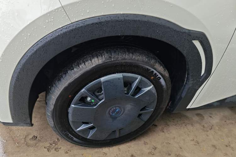Used BYD Seagull 2025 Intelligent Driving Version 305 km Dynamic Edition Exterior 4