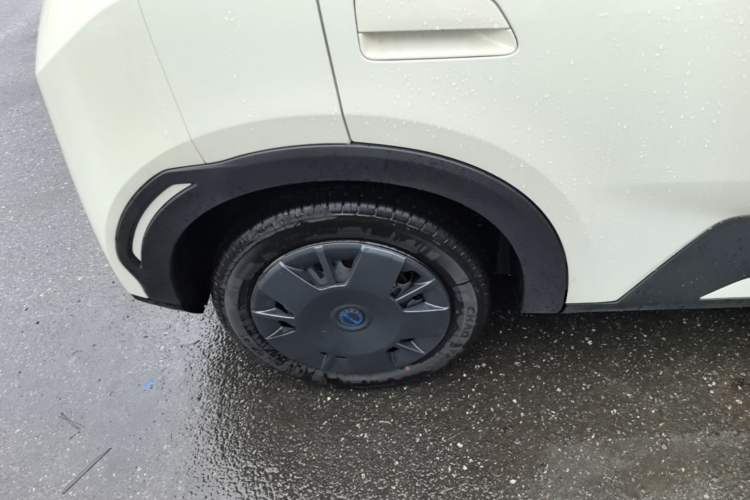 Used BYD Seagull 2025 Intelligent Driving Version 305 km Dynamic Edition Exterior 5