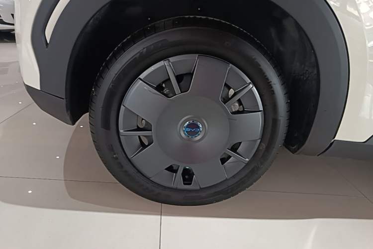 Used BYD Seagull 2025 Intelligent Driving Version 305 km Dynamic Edition Exterior 5