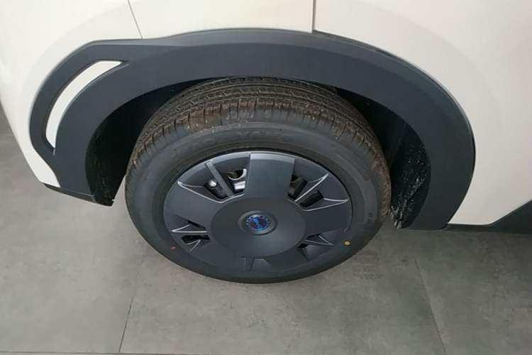 Used BYD Seagull 2025 Intelligent Driving Version 305 km Dynamic Edition Exterior 5
