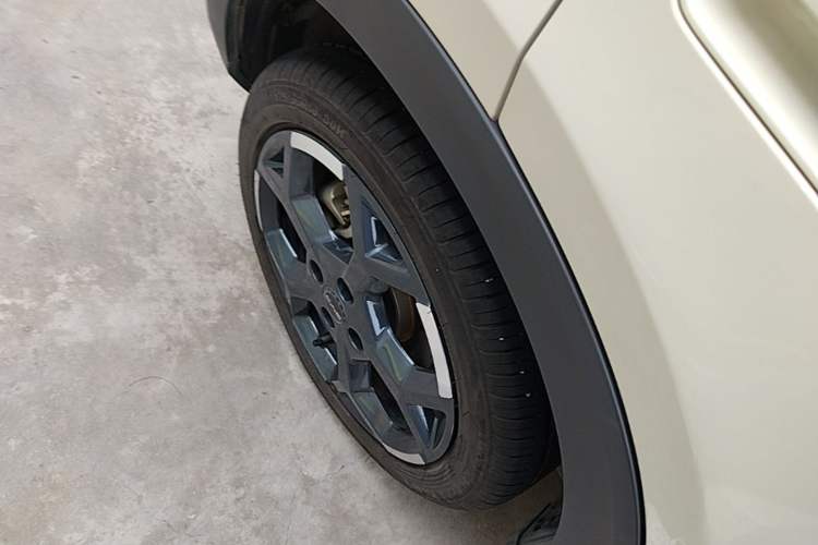 Used BYD Seagull 2025 Smart Drive Version 305 km Freedom Edition Exterior 5