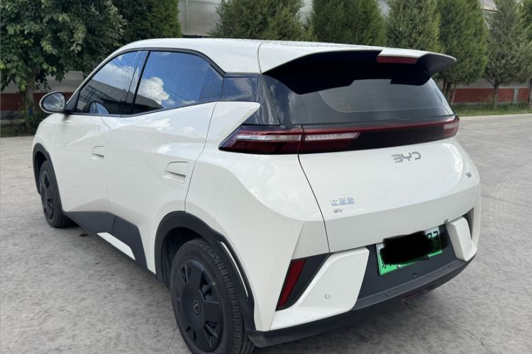 Used BYD Seagull 2025 Intelligent Driving Version 305 km Dynamic Edition Exterior 5