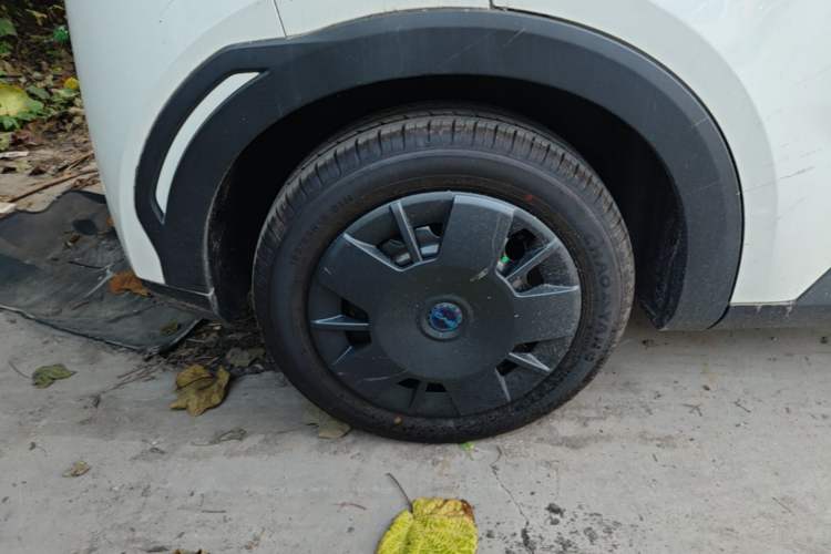 Used BYD Seagull 2025 Intelligent Driving Version 305 km Dynamic Edition Exterior 5