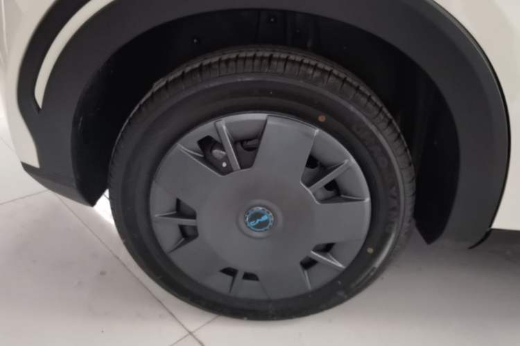 Used BYD Seagull 2025 Intelligent Driving Version 305 km Dynamic Edition Exterior 5