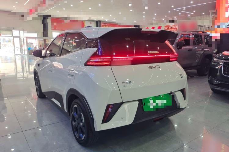 Used BYD Seagull 2025 Smart Drive Version 305 km Freedom Edition Exterior 6