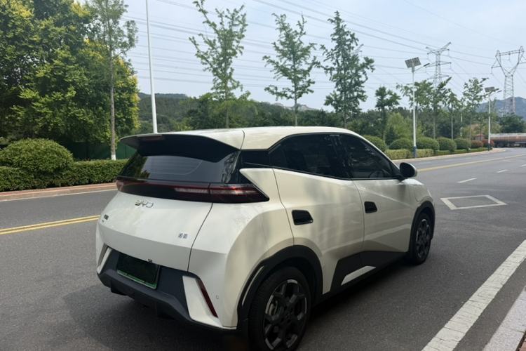 Used BYD Seagull 2025 305 km Free Version Exterior 6