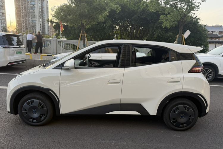 Used BYD Seagull 2025 Intelligent Driving Version 305 km Dynamic Edition Exterior 6