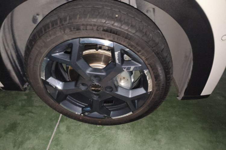 Used BYD Seagull 2025 Smart Drive Version 305 km Freedom Edition Exterior 7