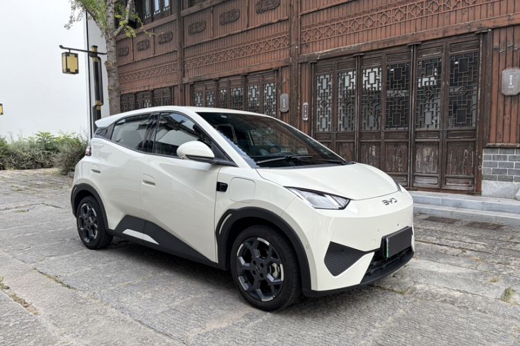 Used BYD Seagull 2025 Smart Drive Version 305 km Freedom Edition Exterior 7