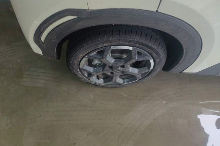 Used BYD Seagull 2025 Smart Drive Version 305 km Freedom Edition Exterior 8