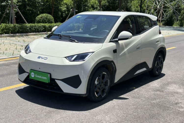 Used BYD Seagull 2025 Smart Drive Version 305 km Freedom Edition Exterior 9