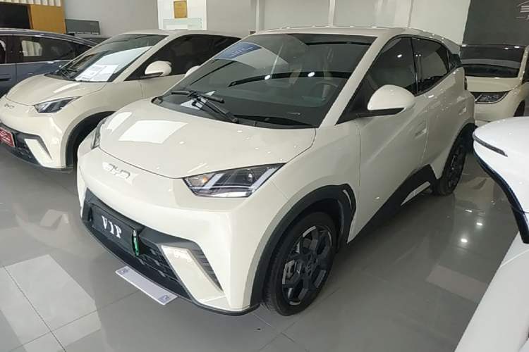Used BYD Seagull 2025 305 km Free Version Guazi used car, China used car export, Used car for sale, Used  cars, Cheapest cars for sale