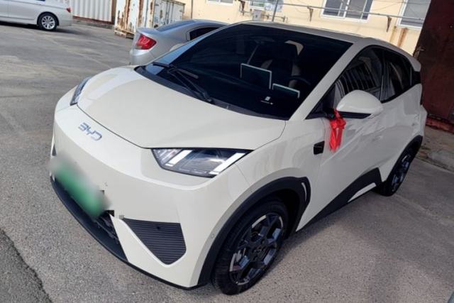 Used BYD Seagull 2025 Smart Drive Version 305 km Freedom Edition