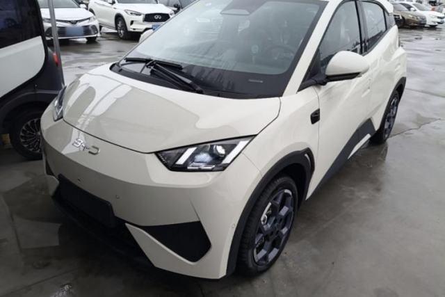 Used BYD Seagull 2025 Smart Drive Version 305 km Freedom Edition
