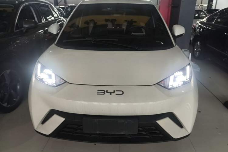 Used BYD Seagull 2025 305 km Free Version Front