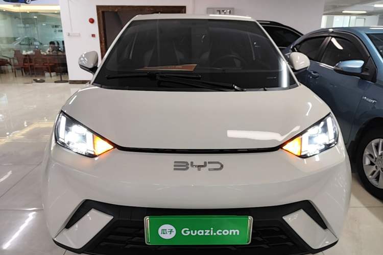 Used BYD Seagull 2025 305 km Free Version Front