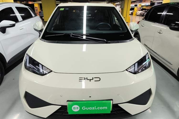 Used BYD Seagull 2025 Intelligent Driving Version 405 km Flying Edition Front