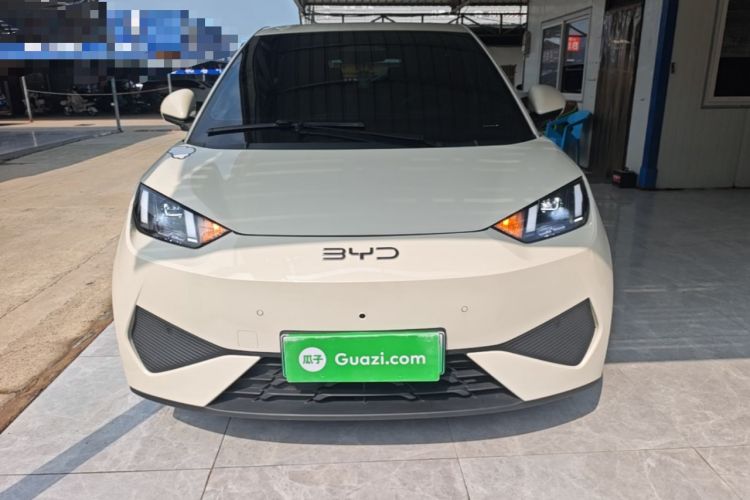 Used BYD Seagull 2025 Smart Drive Version 305 km Freedom Edition Front