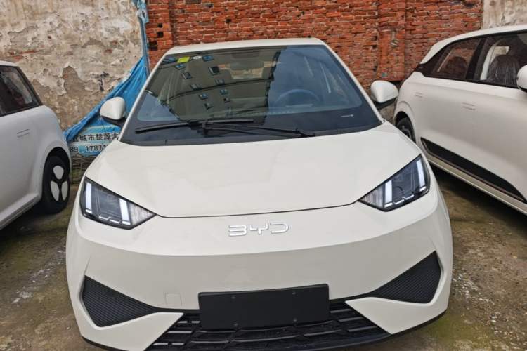 Used BYD Seagull 2025 Model Smart Drive Version 405km Free-Spirited Version Front
