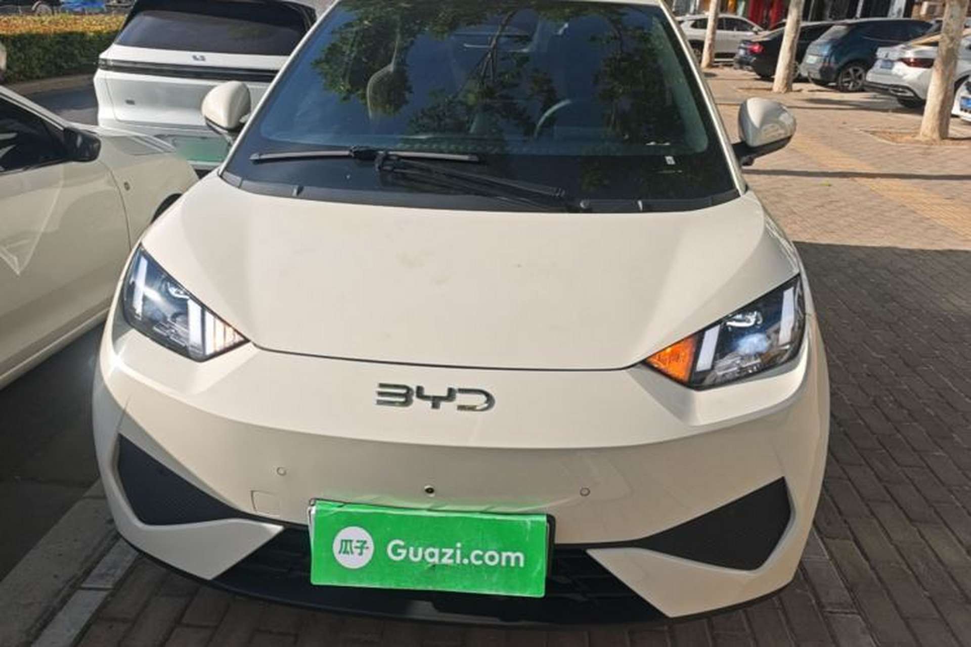 Used BYD Seagull 2025 Smart Drive Version 305 km Freedom Edition Front