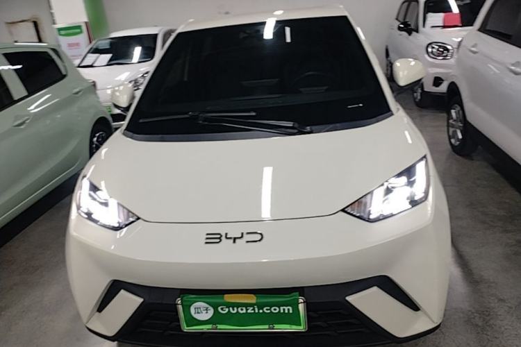 Used BYD Seagull 2025 305 km Free Version Front