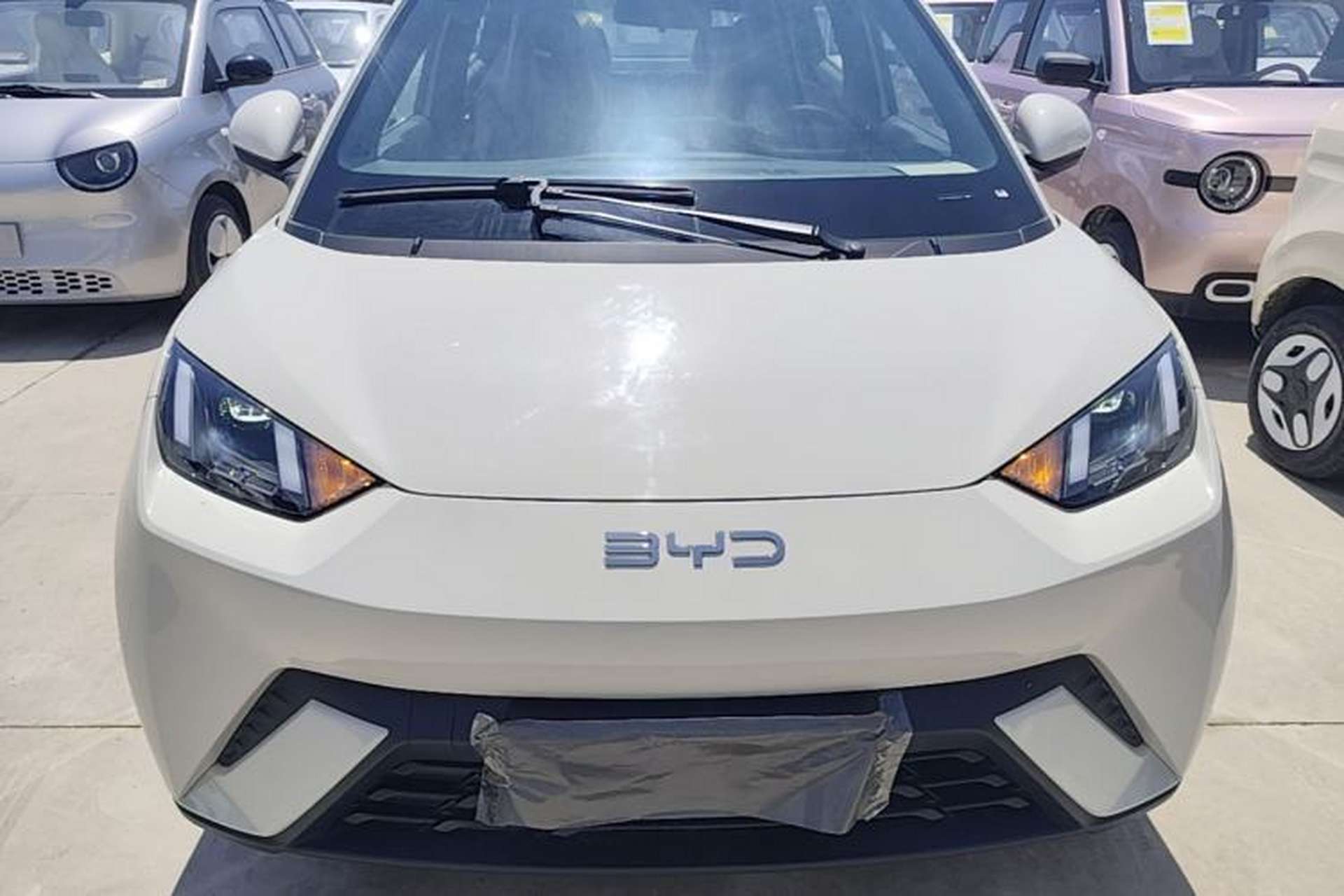Used BYD Seagull 2025 405 km Flying Edition Front