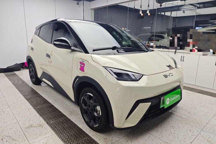Used BYD Seagull 2025 405 km Flying Edition Front Right 45 Deg
