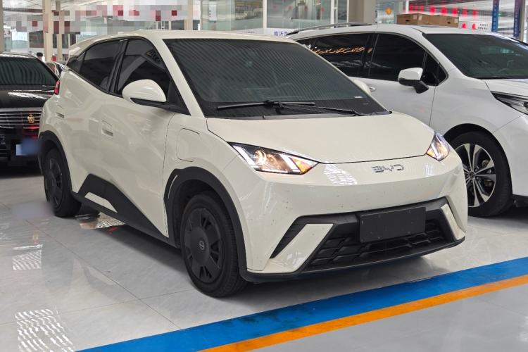 Used BYD Seagull 2025 305km Active Version Front Right 45 Deg