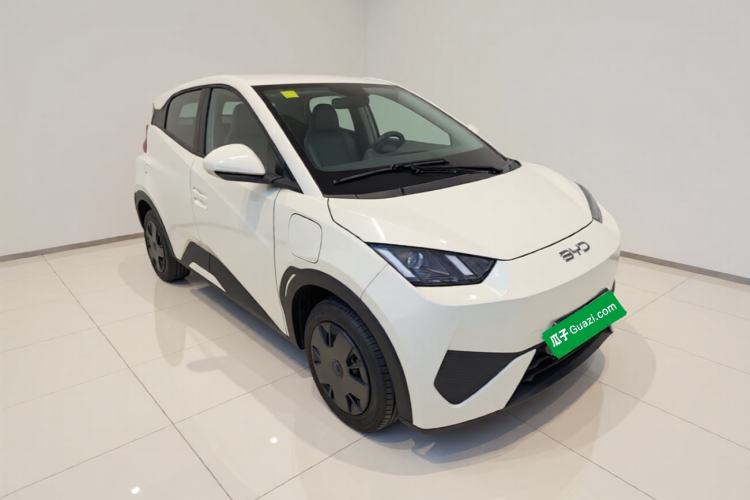 Used BYD Seagull 2025 305km Active Version Front Right 45 Deg