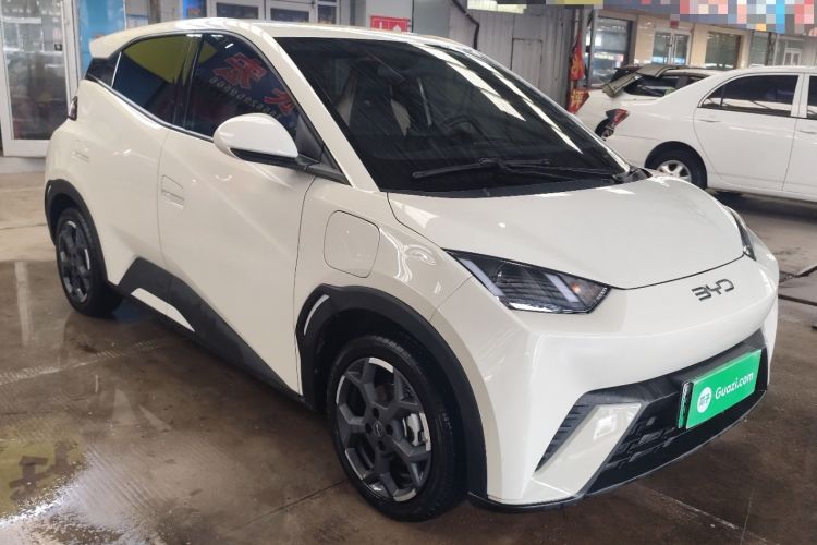 Used BYD Seagull 2025 305 km Free Version Front Right 45 Deg