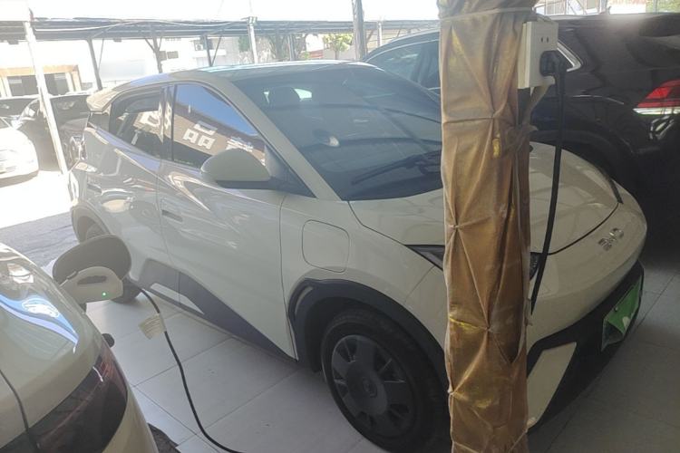 Used BYD Seagull 2025 Intelligent Driving Version 305 km Dynamic Edition Front Right 45 Deg